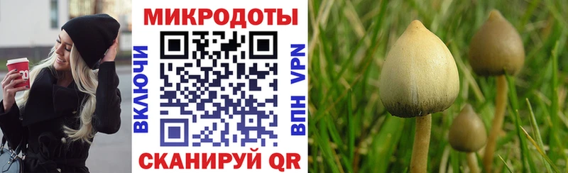 маркетплейс клад  Саки  Галлюциногенные грибы Psilocybine cubensis  купить закладку 